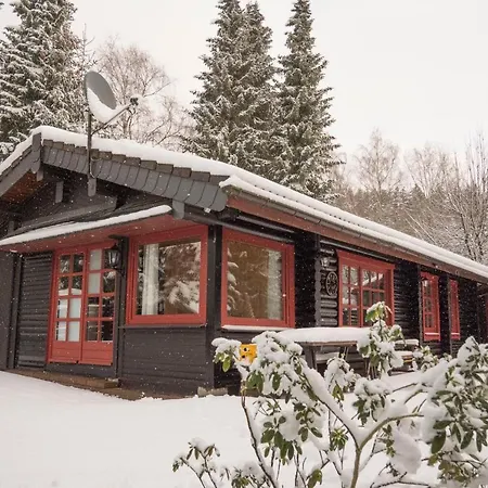 Ferienhaus Naturliebe Winterberg Esterno foto